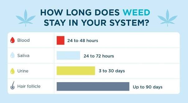 How long does weed linger?